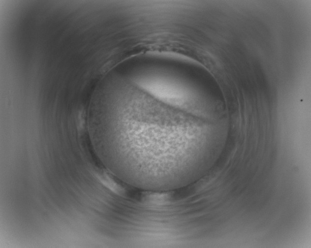 X0000068850081200605192002