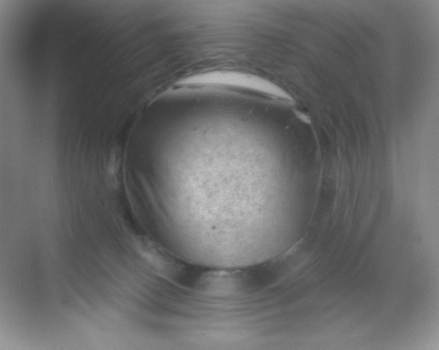 X0000068850082200605192002