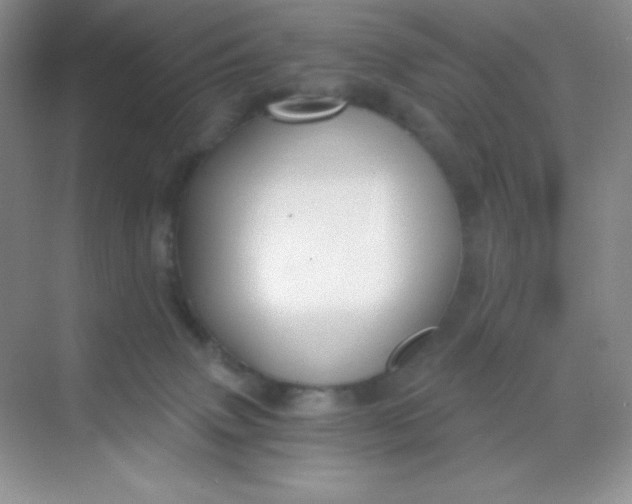 X0000068850083200605192002