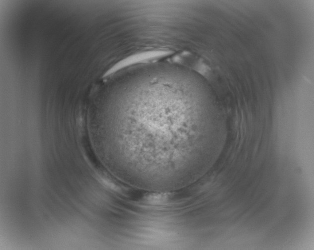 X0000068850084200605192002