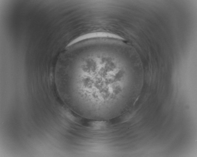 X0000068850085200605192002