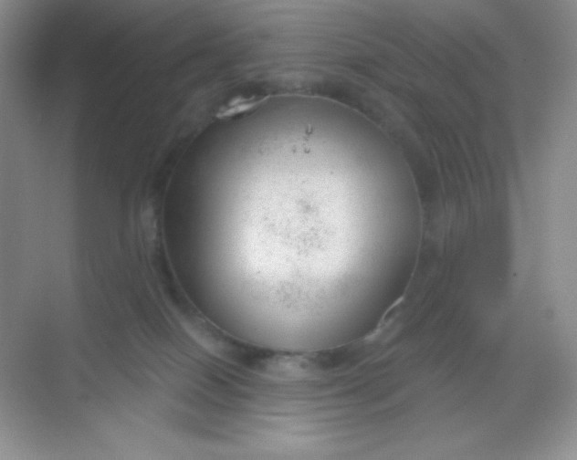 X0000068850086200605192002