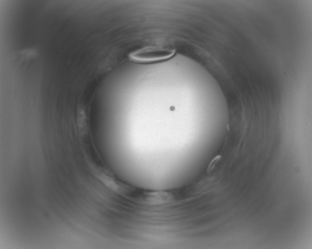 X0000068850087200605192002