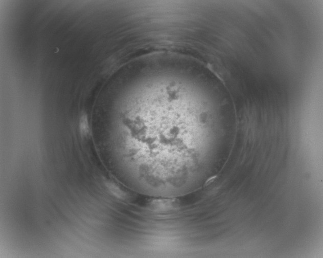 X0000068850089200605192002