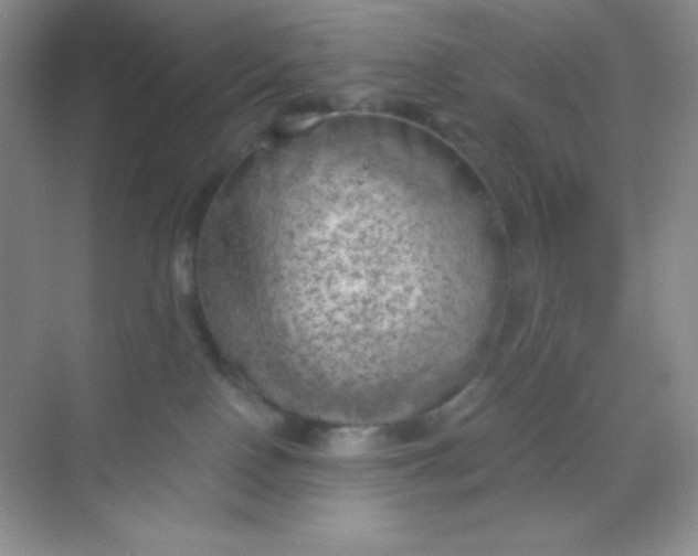 X0000068850090200605192002