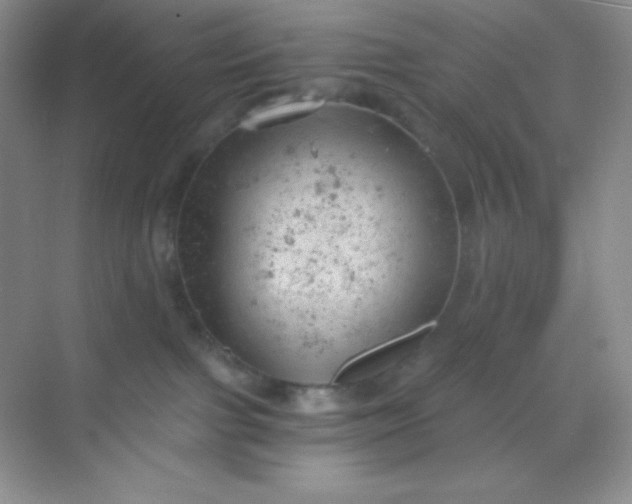 X0000068850091200605192002