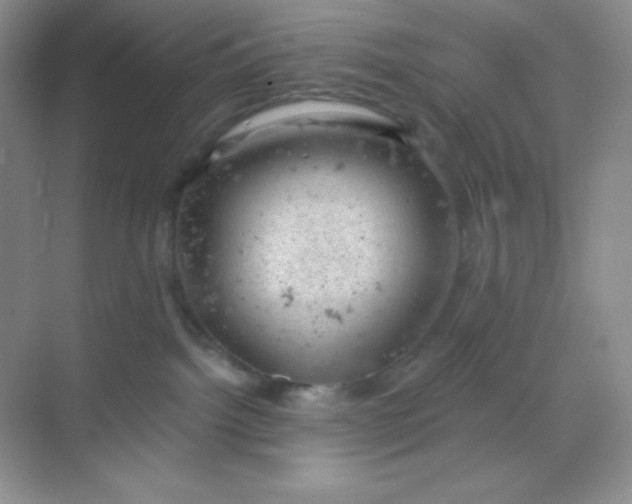 X0000068850092200605192002