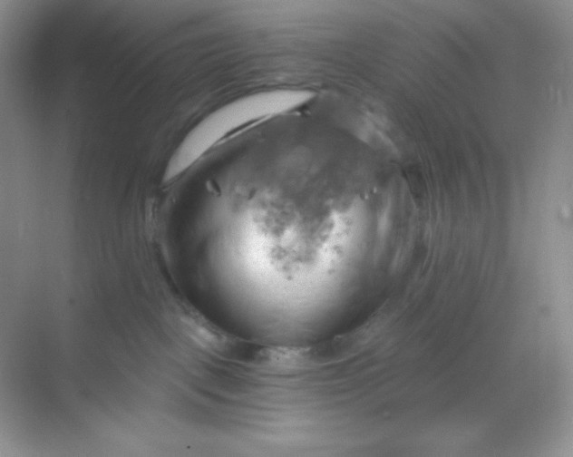 X0000068850093200605192002