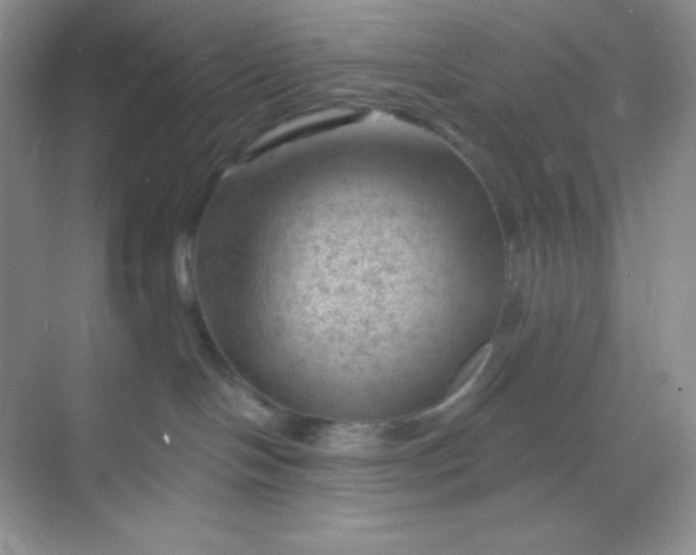 X0000068850094200605192002