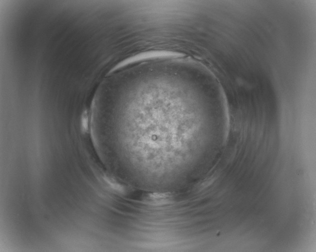 X0000068850095200605192002