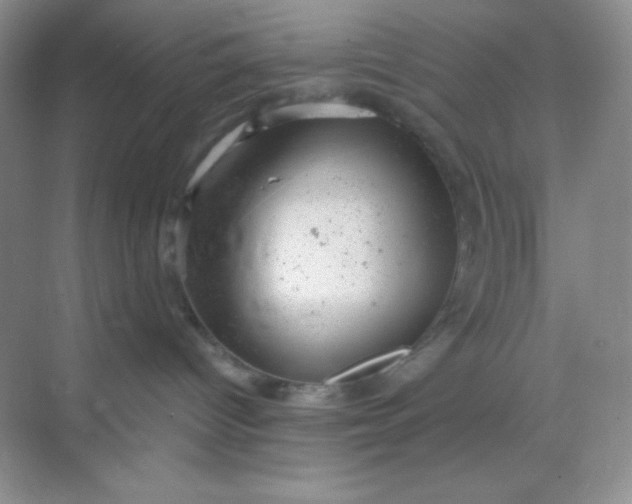 X0000068850096200605192002