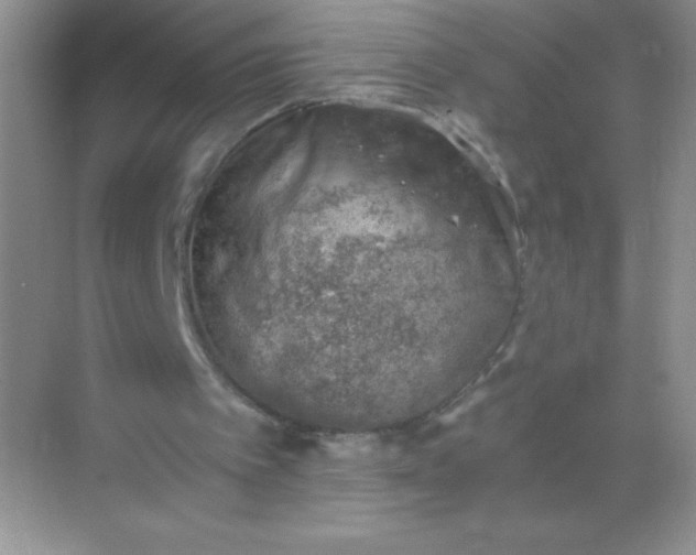 X0000068850097200605192002