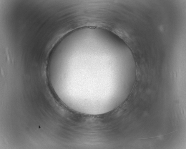 X0000068850098200605192002