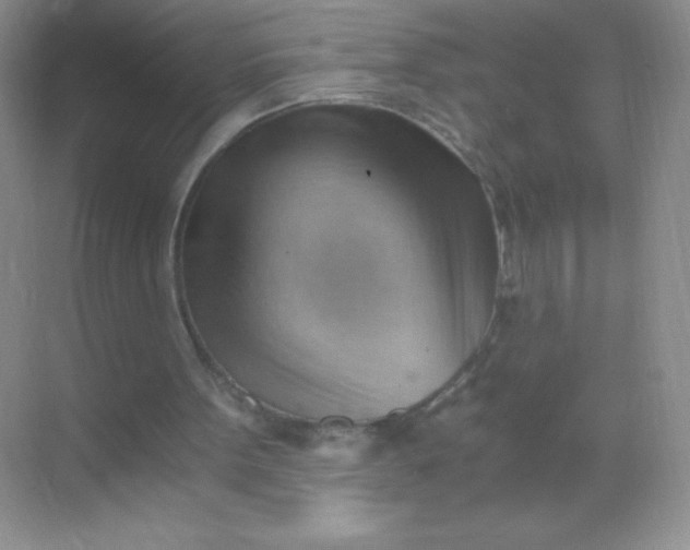 X0000068850099200605192002