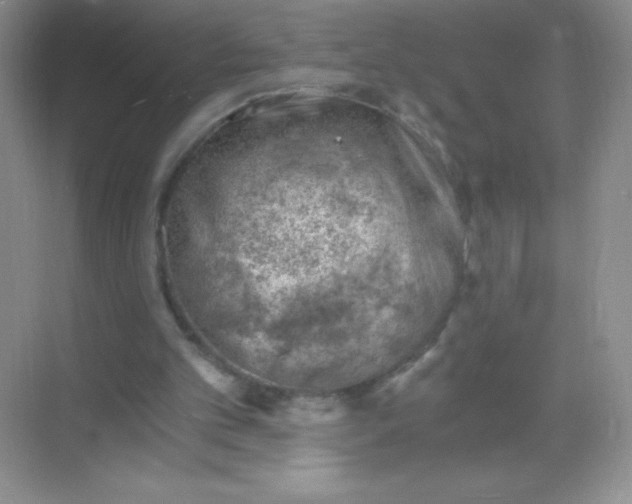 X0000068850101200605192002