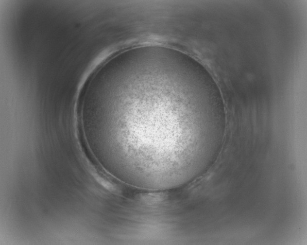 X0000068850102200605192002