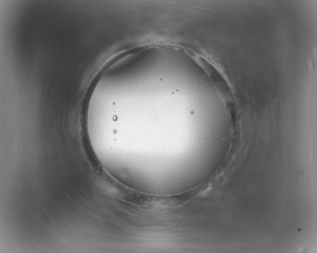 X0000068850103200605192002