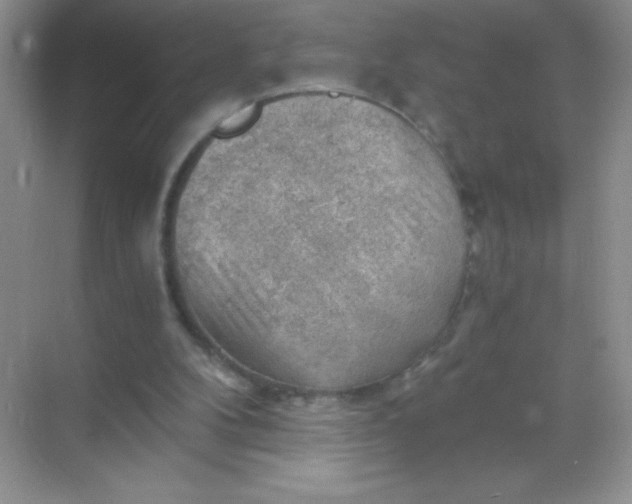 X0000068850104200605192001