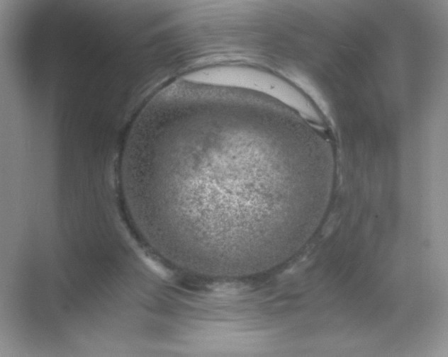 X0000068850105200605192001