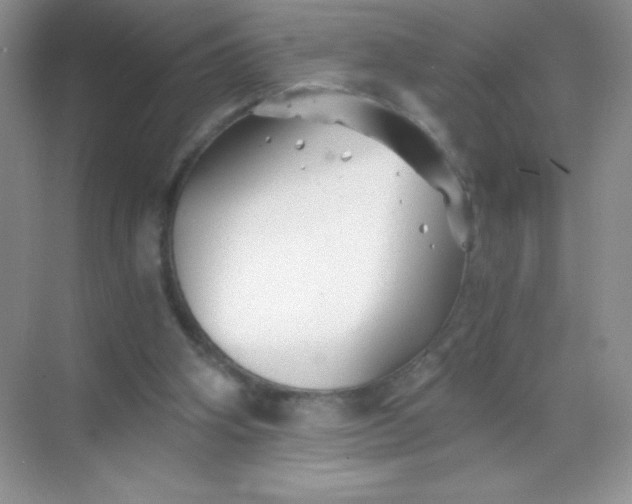 X0000068850106200605192001