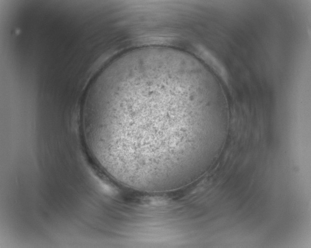 X0000068850107200605192001