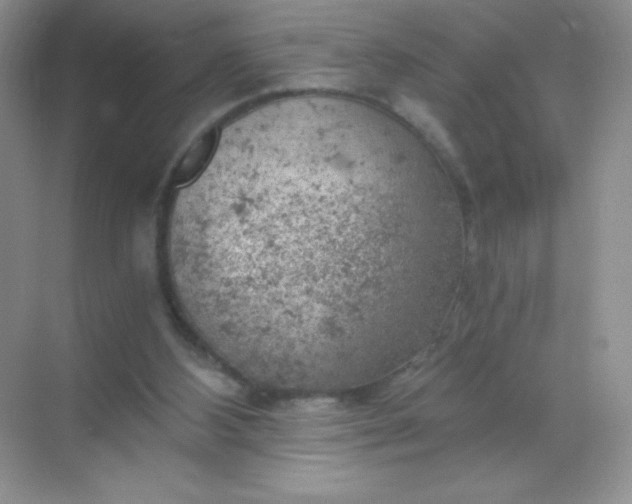 X0000068850108200605192001