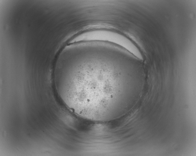 X0000068850111200605192001