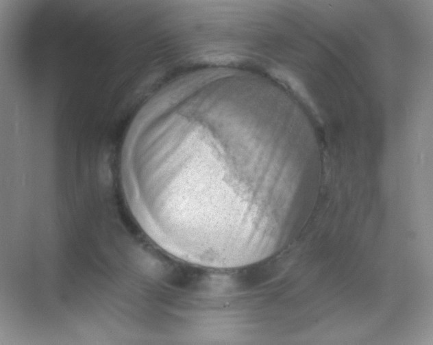 X0000068850114200605192001