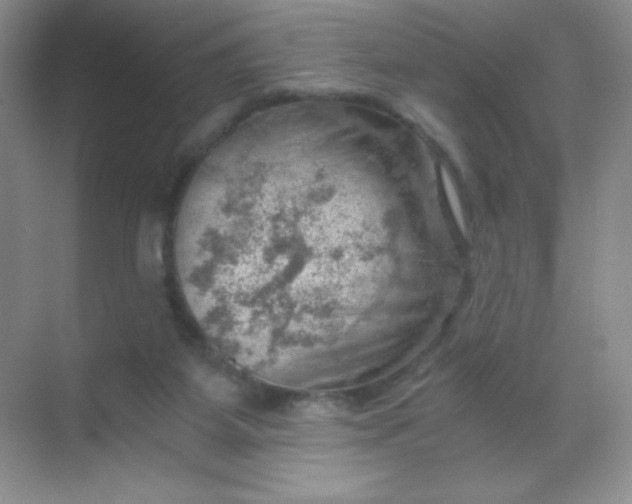 X0000068850115200605192001