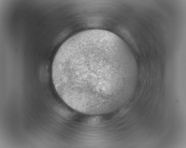 X0000068850116200605192001