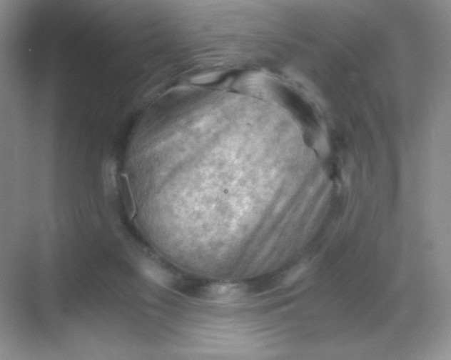 X0000068850117200605192001