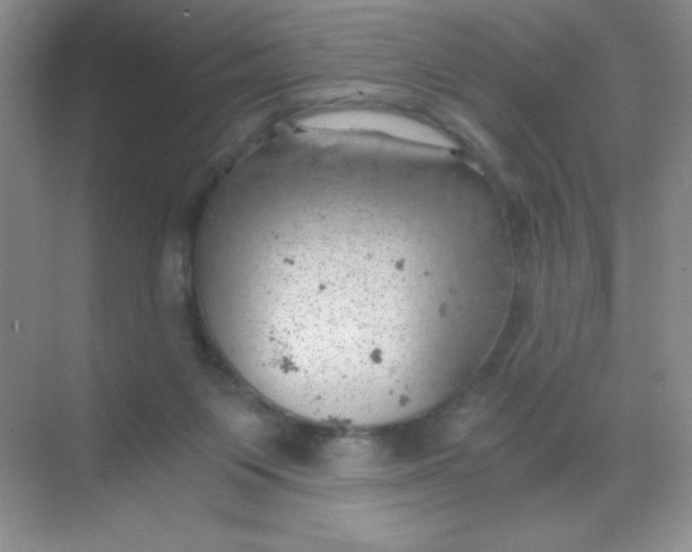 X0000068850119200605192001