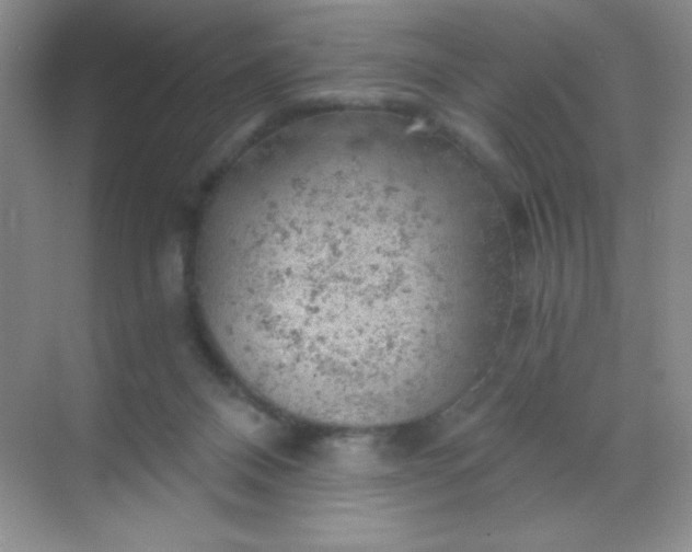 X0000068850120200605192001