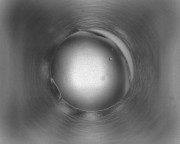 X0000068850121200605192001