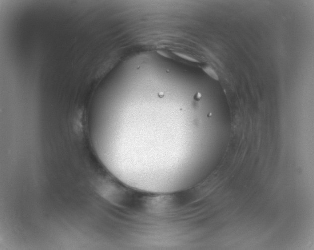 X0000068850122200605192001