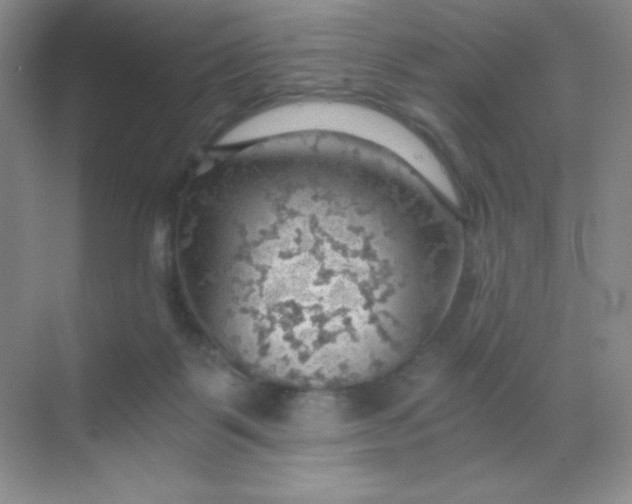 X0000068850123200605192001