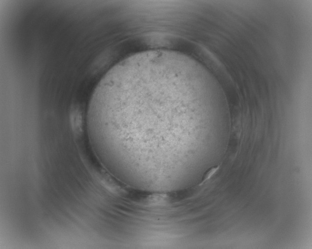 X0000068850124200605192001