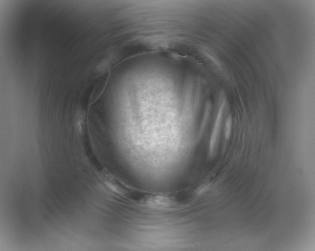 X0000068850125200605192001