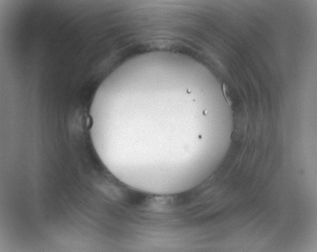 X0000068850126200605192001