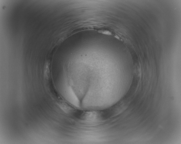 X0000068850127200605192001