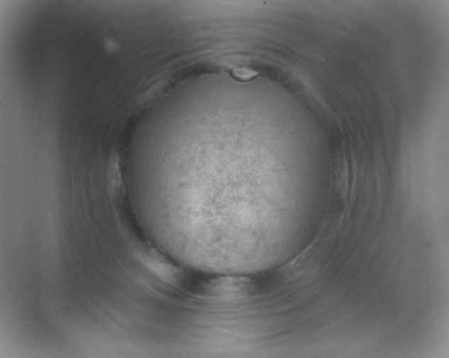 X0000068850128200605192001