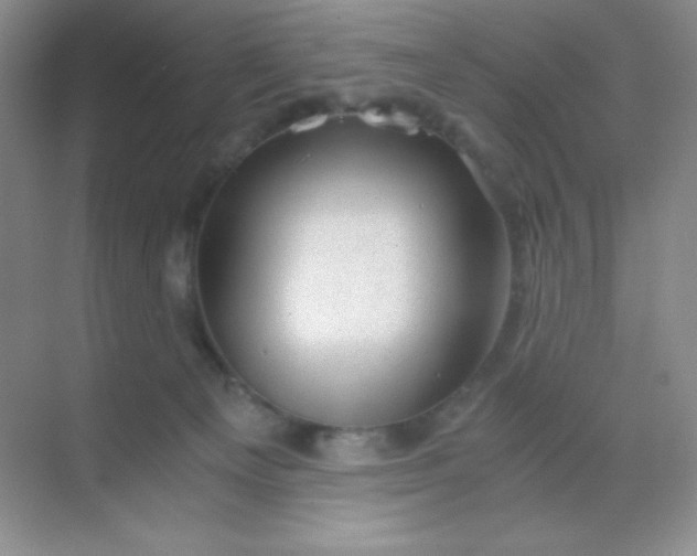 X0000068850129200605192001