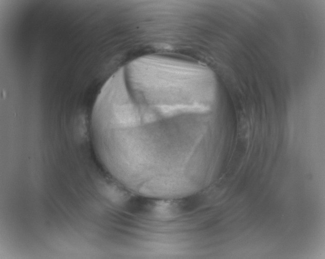 X0000068850130200605192001