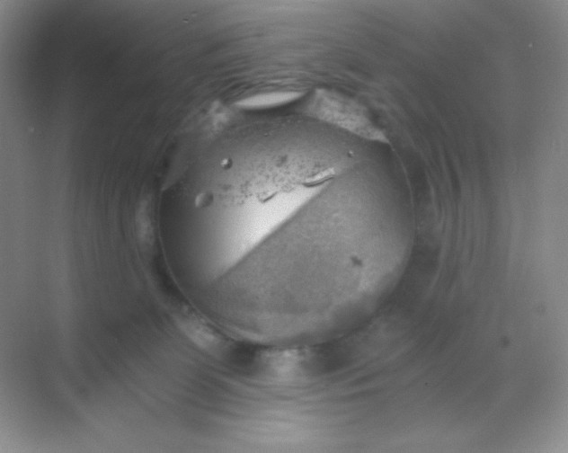 X0000068850131200605192001