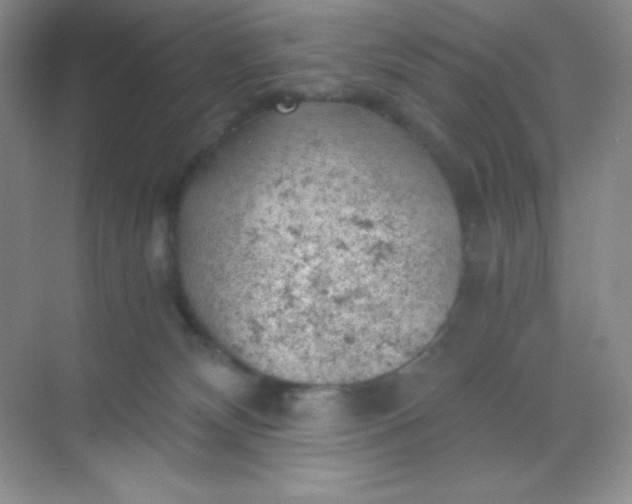 X0000068850132200605192001