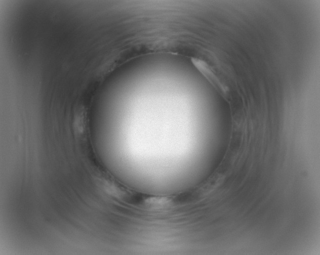 X0000068850133200605192001