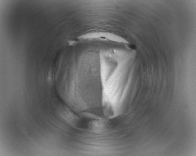 X0000068850134200605192001