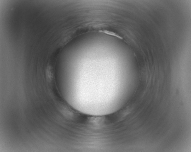 X0000068850135200605192001