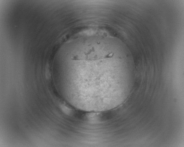 X0000068850136200605192001