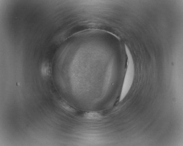 X0000068850137200605192001